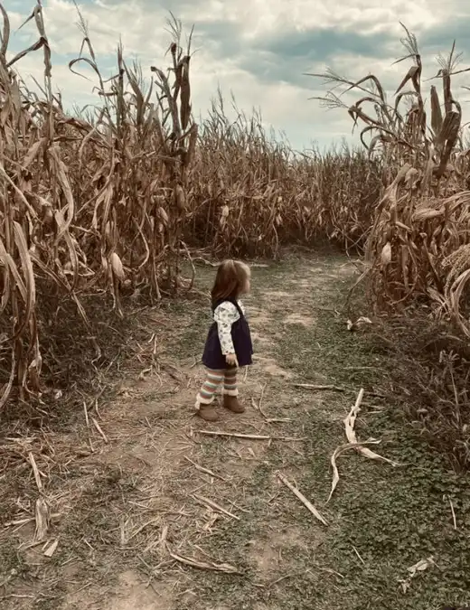 Mountain Mayhem Haunted Corn Maze